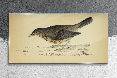Foto auf glas Vogel auf beigem Hintergrund