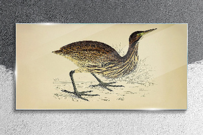 Glasbild Vogelmuster auf Naturhintergrund