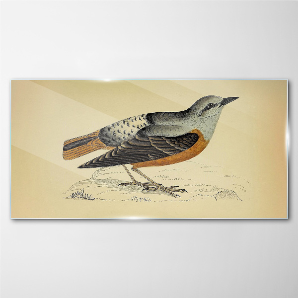 Glasbild Vogel in Pastelltönen