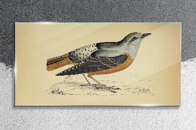Glasbild Vogel in Pastelltönen