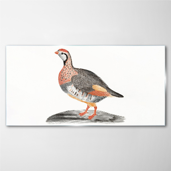 Glasbild Vogel-Eleganz in Pastellfarben