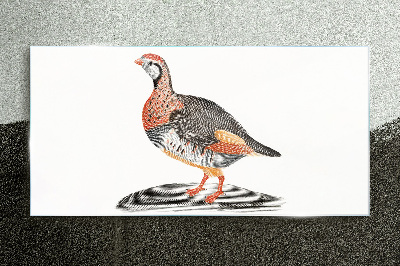 Glasbild Vogel-Eleganz in Pastellfarben