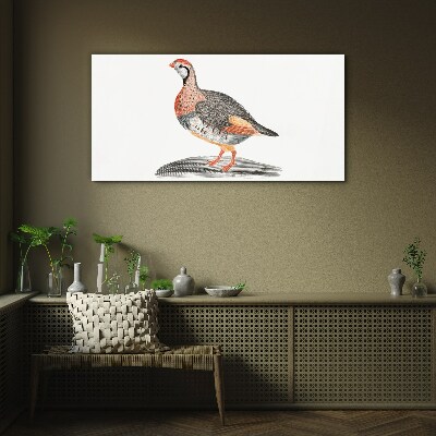 Glasbild Vogel-Eleganz in Pastellfarben