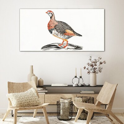 Glasbild Vogel-Eleganz in Pastellfarben