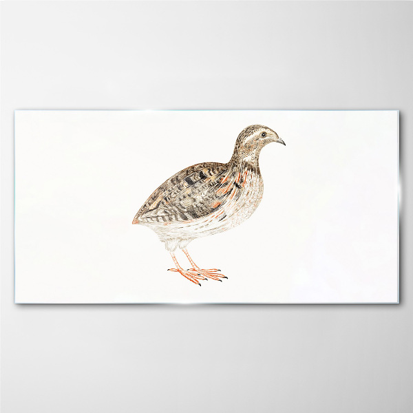 Glasbild Vogel auf weißem Hintergrund