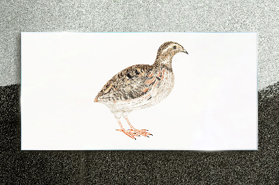 Glasbild Vogel auf weißem Hintergrund