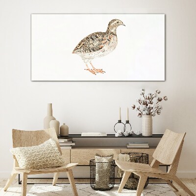 Glasbild Vogel auf weißem Hintergrund