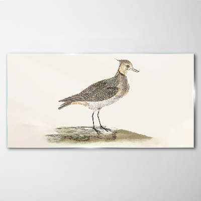 Glasbild Ein eleganter Vogel vor der Kulisse der Natur