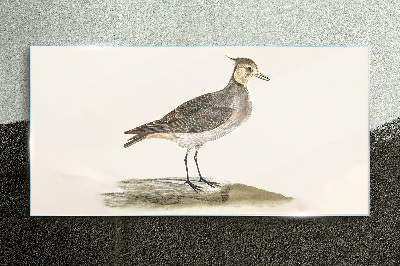 Glasbild Ein eleganter Vogel vor der Kulisse der Natur