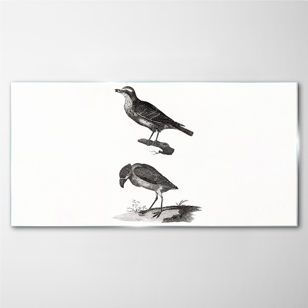 Glasbild Vögel auf einem Ast