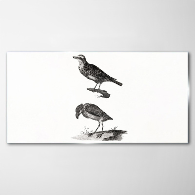 Glasbild Vögel auf einem Ast