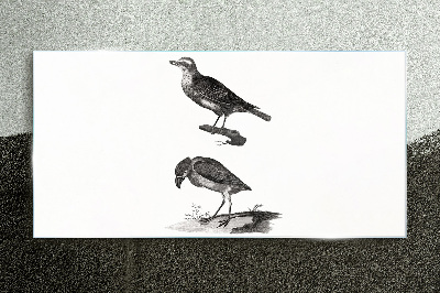 Glasbild Vögel auf einem Ast
