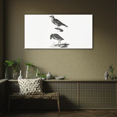 Glasbild Vögel auf einem Ast