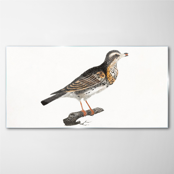 Foto glasbild Vogel auf einem Ast
