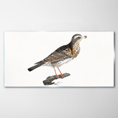 Foto glasbild Vogel auf einem Ast