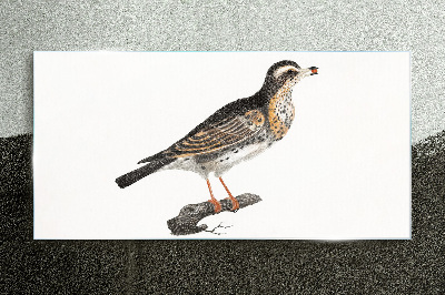 Foto glasbild Vogel auf einem Ast