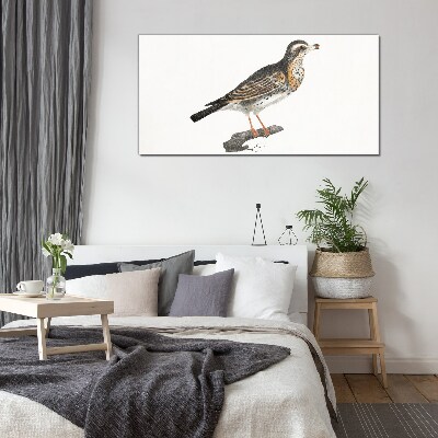 Foto glasbild Vogel auf einem Ast