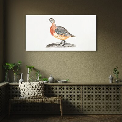 Glasbild Glücklicher Vogel auf weißem Hintergrund