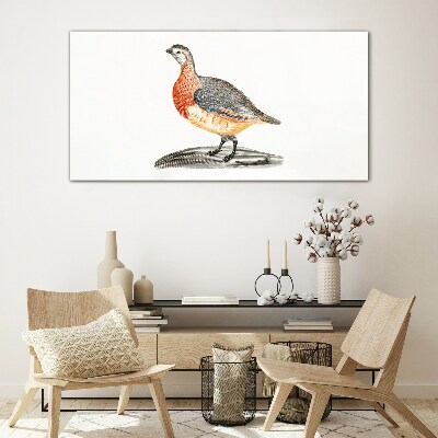 Glasbild Glücklicher Vogel auf weißem Hintergrund