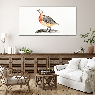 Glasbild Glücklicher Vogel auf weißem Hintergrund