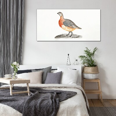 Glasbild Glücklicher Vogel auf weißem Hintergrund