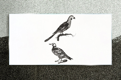 Glasbild Vögel auf einem Ast