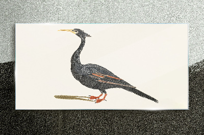 Bild auf glas Schwarzer Vogel auf weißem Hintergrund