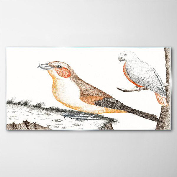 Foto auf glas Vogelduett auf einem Ast