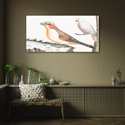 Foto auf glas Vogelduett auf einem Ast