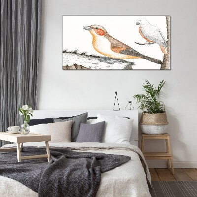 Foto auf glas Vogelduett auf einem Ast
