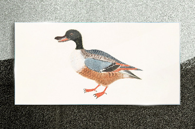 Glasbild Eine Ente im bunten Mantel