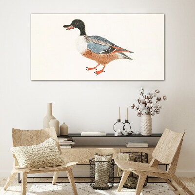 Glasbild Eine Ente im bunten Mantel
