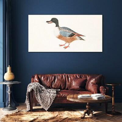 Glasbild Eine Ente im bunten Mantel