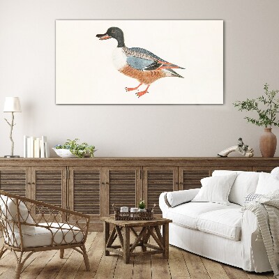 Glasbild Eine Ente im bunten Mantel