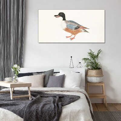 Glasbild Eine Ente im bunten Mantel