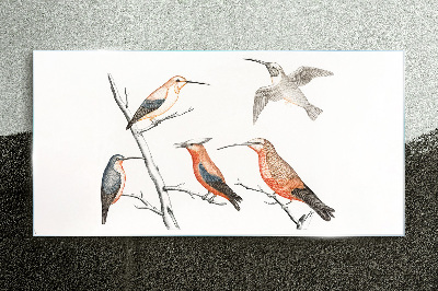 Glasbild Bunte Vögel auf einem Ast