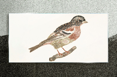 Bild auf glas Vogel auf einem Ast