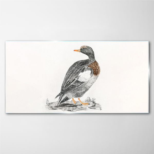 Glasbild Ente auf weißem Hintergrund