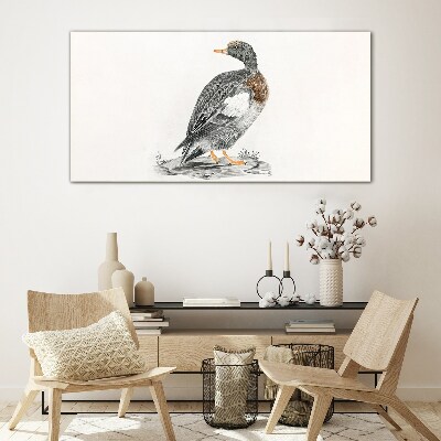 Glasbild Ente auf weißem Hintergrund