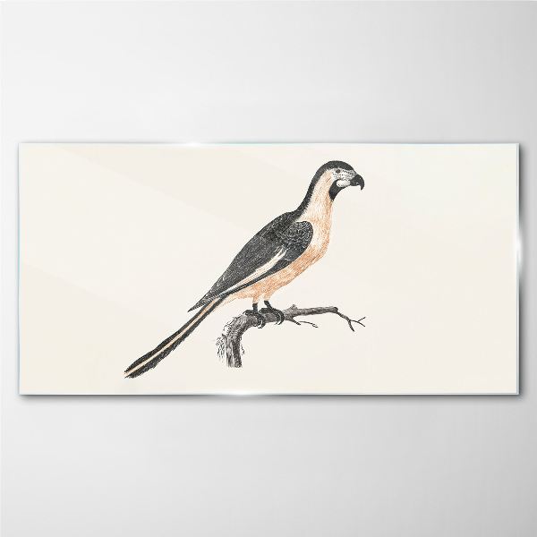 Bild auf glas drucken Vogel auf einem Ast