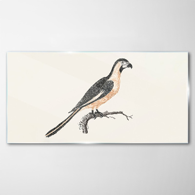 Bild auf glas drucken Vogel auf einem Ast