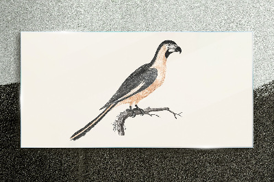 Bild auf glas drucken Vogel auf einem Ast