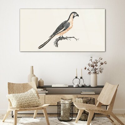 Bild auf glas drucken Vogel auf einem Ast