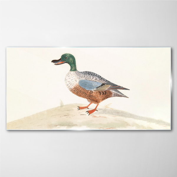Bild auf glas Ente vor einem Hintergrund aus zarten Farben