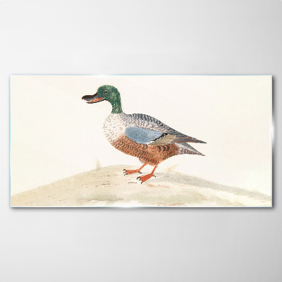 Bild auf glas Ente vor einem Hintergrund aus zarten Farben