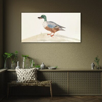 Bild auf glas Ente vor einem Hintergrund aus zarten Farben
