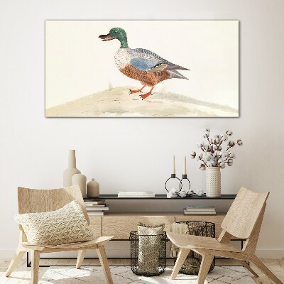 Bild auf glas Ente vor einem Hintergrund aus zarten Farben
