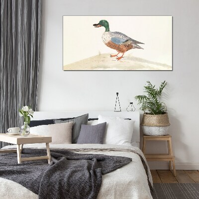 Bild auf glas Ente vor einem Hintergrund aus zarten Farben