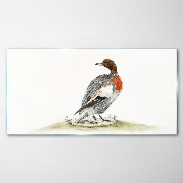Glasbild Ente auf einem natürlichen Hintergrund