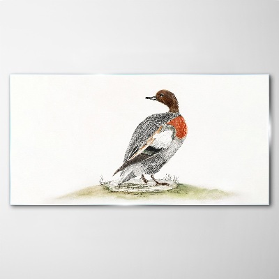 Glasbild Ente auf einem natürlichen Hintergrund